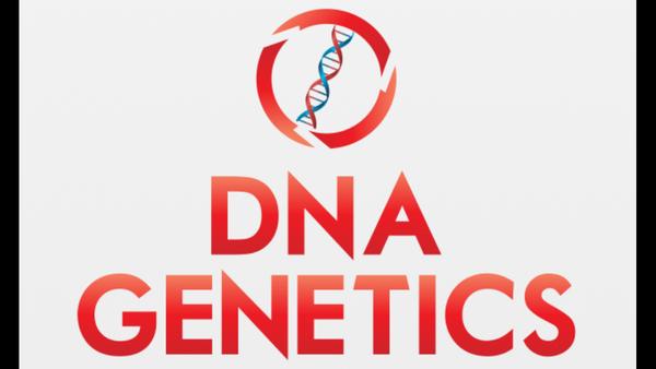 DNA PATERNITY TESTING