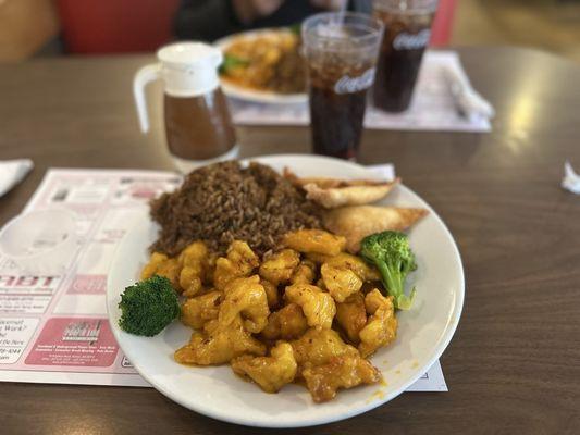 General Tso 'spicy' chicken combination plate