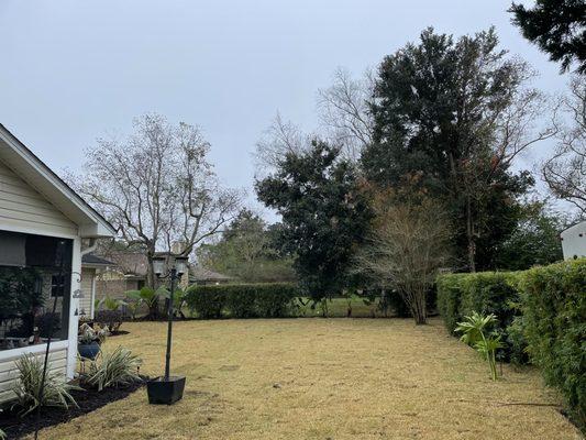 Sp lawn care and landscaping