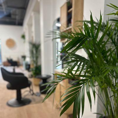 The Girl House Salon