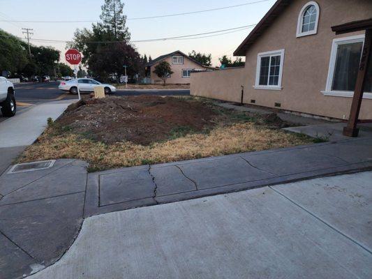 before and after installing grass