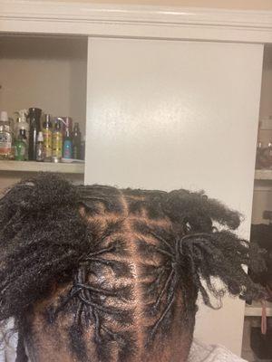 Locs For Life Salon Flatshoals