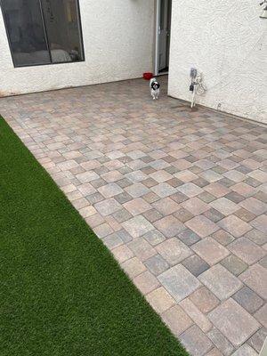 Paver turf