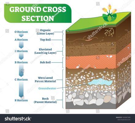 Importance of Quality Top Soil!