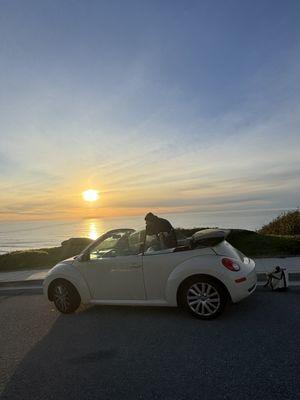 Lavere's VW & Audi Only