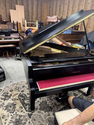 Parsley's Piano Sales & Service
