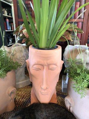 Head planter