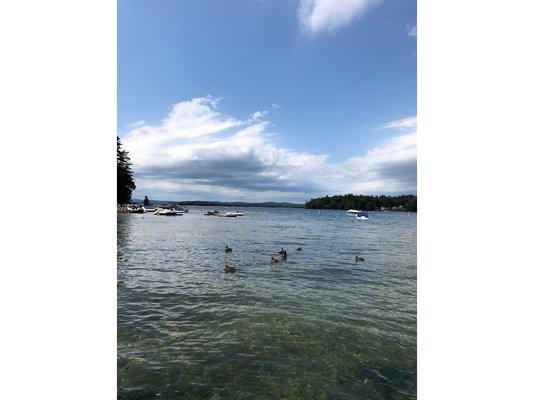 Long Island Cottages