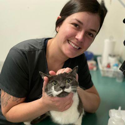 Willow Rock Pet Hospital