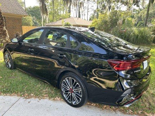 Kia Country of Savannah