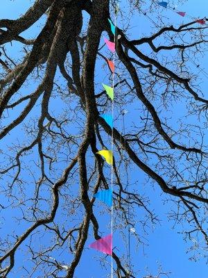 Oak Trees Beer Garden