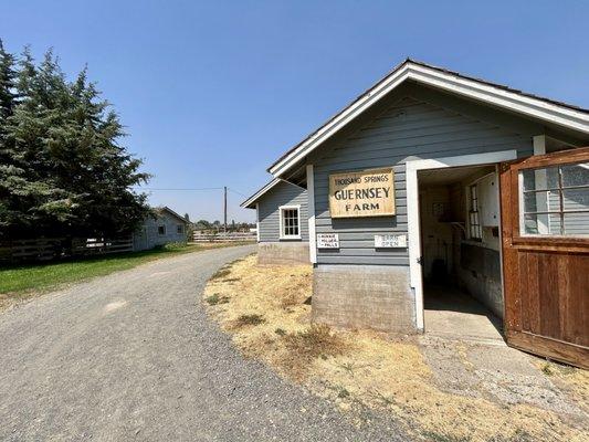 Pass by Guernsey Farm Barn on your way towards Minnie Miller Springs. Walking inside the barn is permitted.