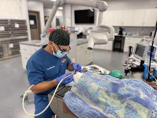 Laveen Veterinary Center