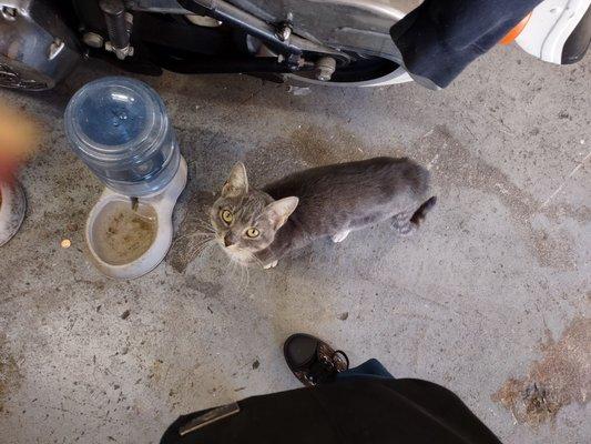 Keystone State Cycles