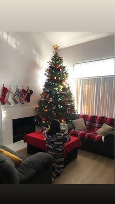 Vista Del Lago Apartments