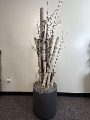 Leaf Cleanup and Removal