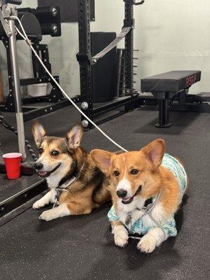 The boys love coming to Synergy