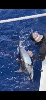 Kyle's Blue Marlin he reeled in!! Yeehaw!