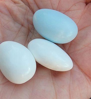 Bulk Food Marketplace