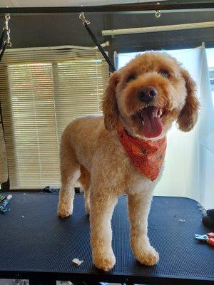 Kera's Kove Grooming