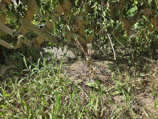 Cousin's Lawn Service