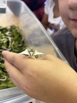 Santa Margarita Children's Center