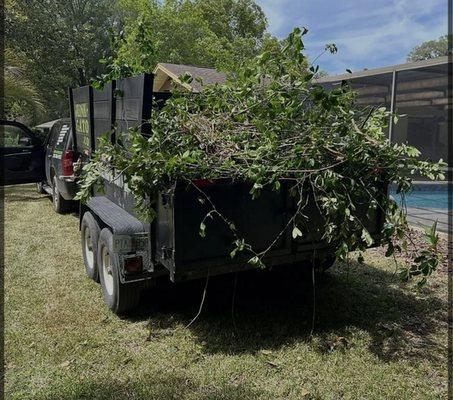 Everything Goes Debris Removal