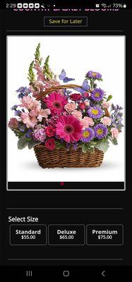 All In Bloom