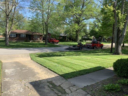 Wolfie’s Lawn Care