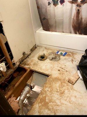 Bathroom had mold we had repeatedly told them even though they replaced vent something was wrong and still smelled bad