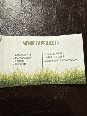 Mendoza projects