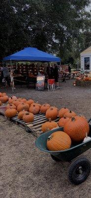 Isle of Faith Pumpkin Patch
