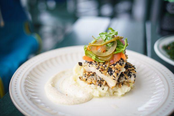 Everything-encrusted rockfish