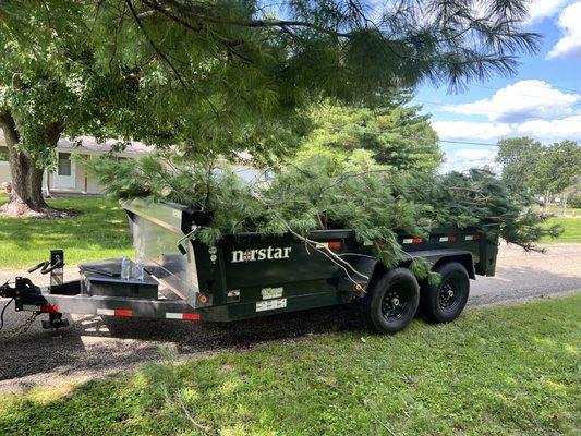 B’s Hauling, Cleanup and Moore