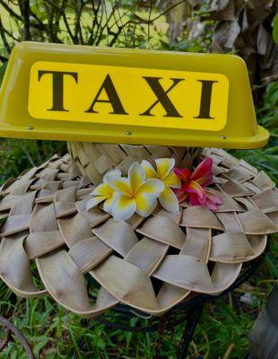 Aloha Kauai Northside Taxi