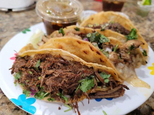 El Toro Loco Food Truck