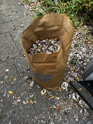 Monmouth County Handyman & Landscaper