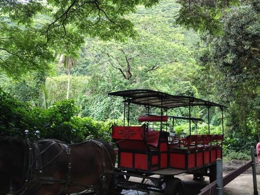 Waipio Valley Wagon Tours