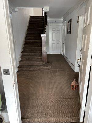 Low Cost Carpet & Upholstery Cleaning