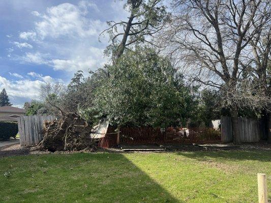 C & C Property Management