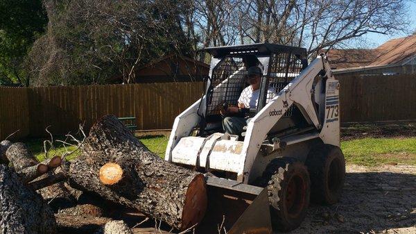 Leon Tree Service