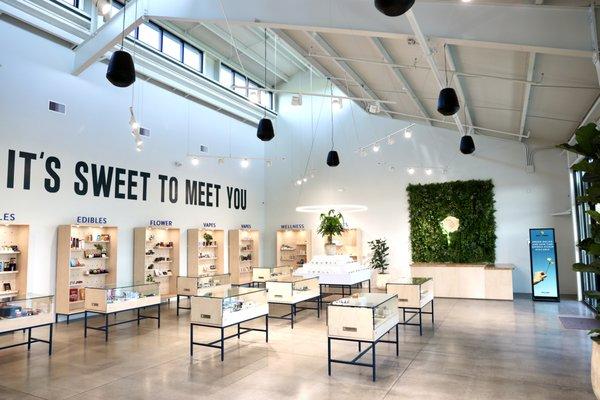 Sweet Flower - Chico