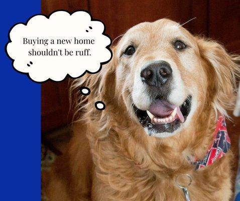 Dawn Veronica Curry - Keller Williams