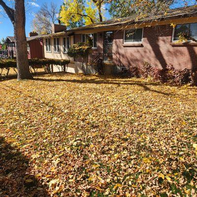 Mile High A&E Handyman