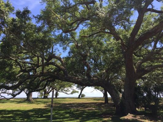 University of Southern Mississippi-Gulfport