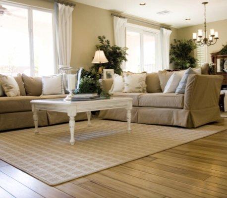 Ms Blue Cleaning Service