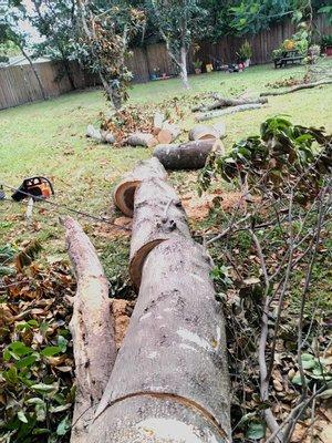 Team Mormon Outdoor Services