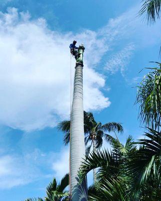 Landscaping Four Seasons
