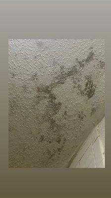 Mildew & mold all over the walls! Scum on the bottom of the tubs!