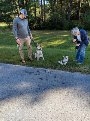Dove Landing Training